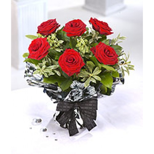 Six Valentines Day Red Roses Galway City